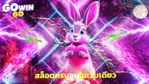 Read more about the article เล่น gowingo คาสิโนสด สล็อตครบจบในเว็บเดียว